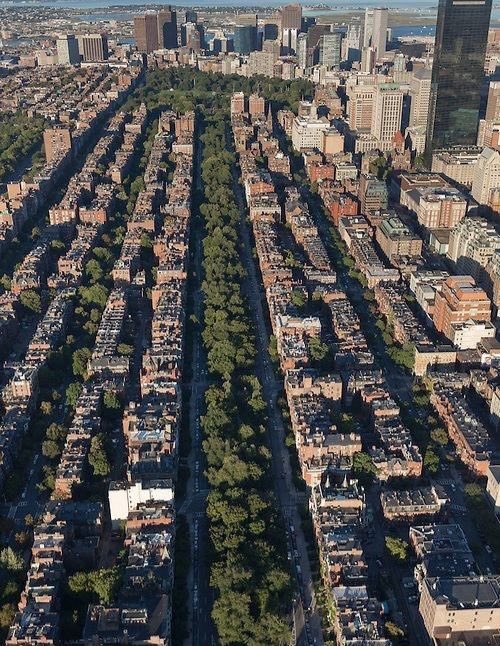 City Aesthetics ⛩ tweet media