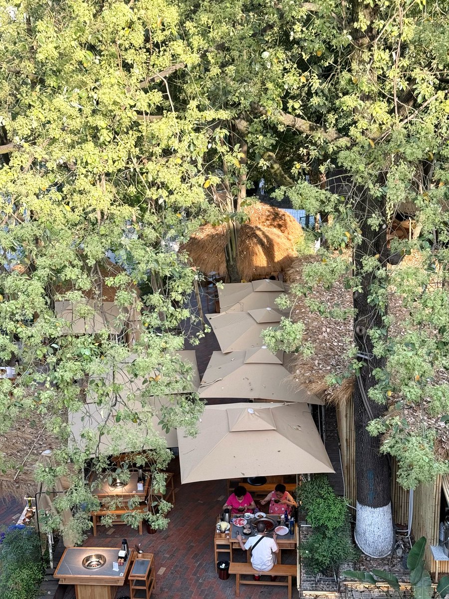 Kusum Tandon tweet media