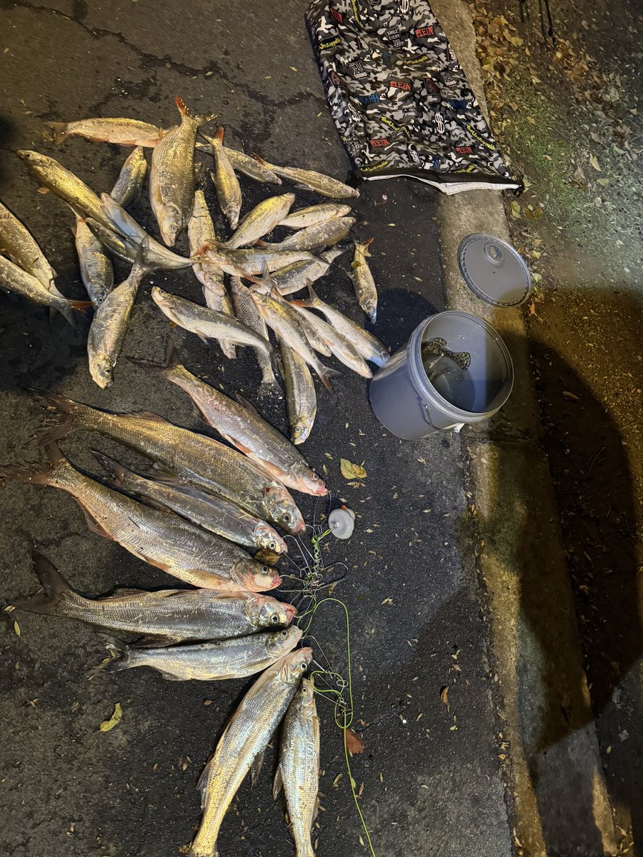 第三人称 | 1000X GEM tweet media