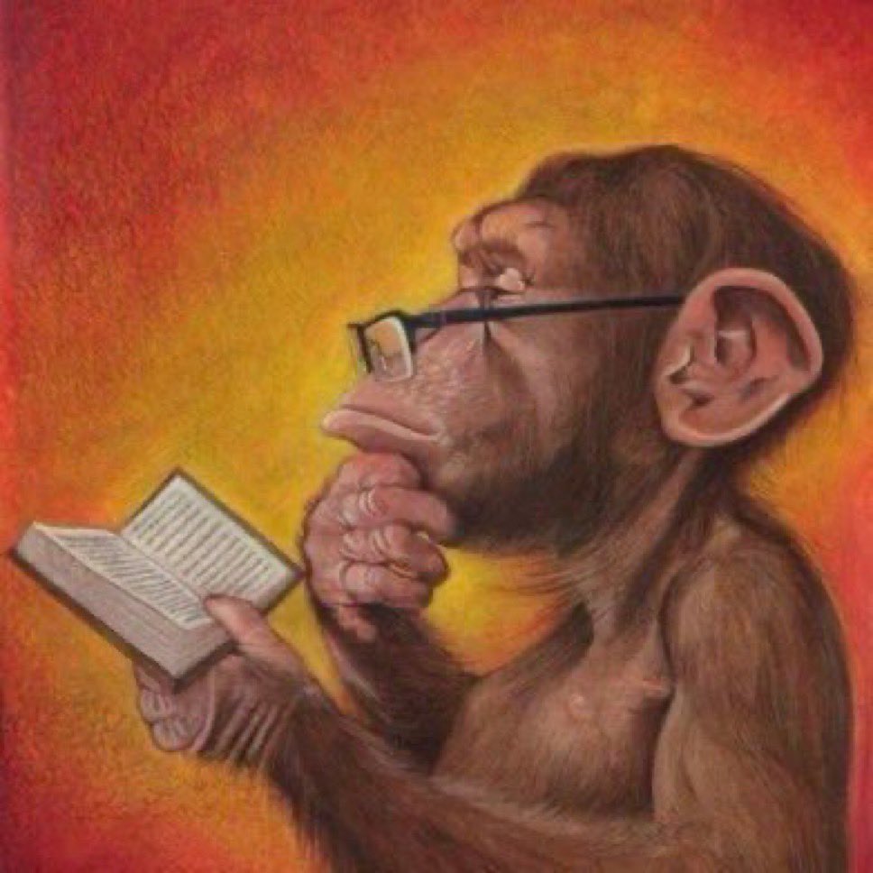 alê ¹³ tweet media