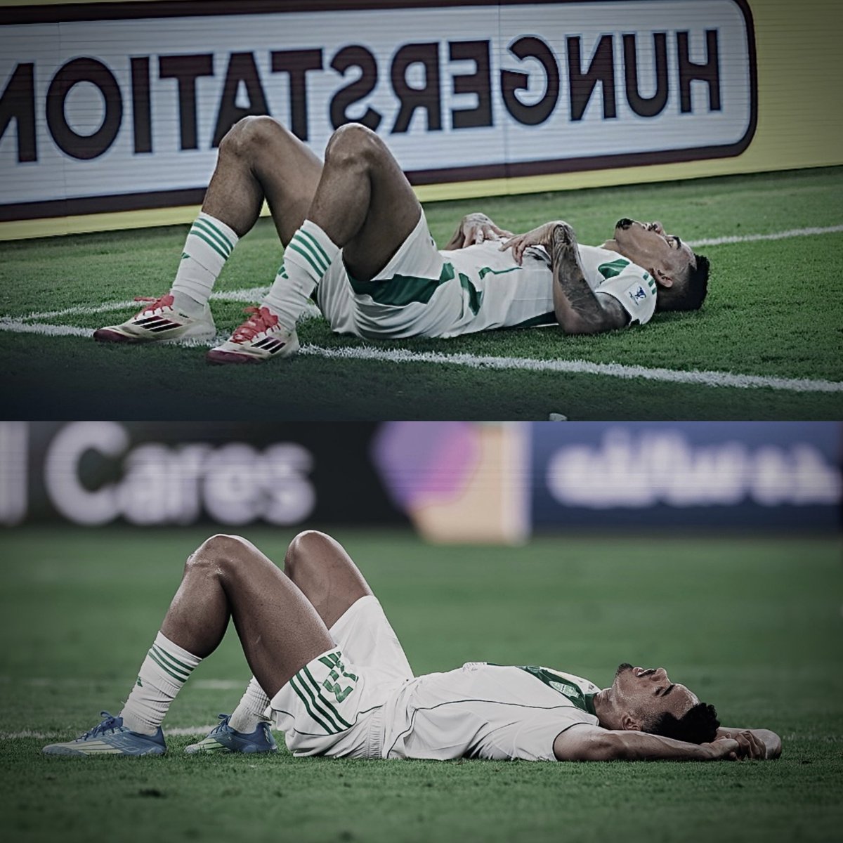 عمرو tweet media