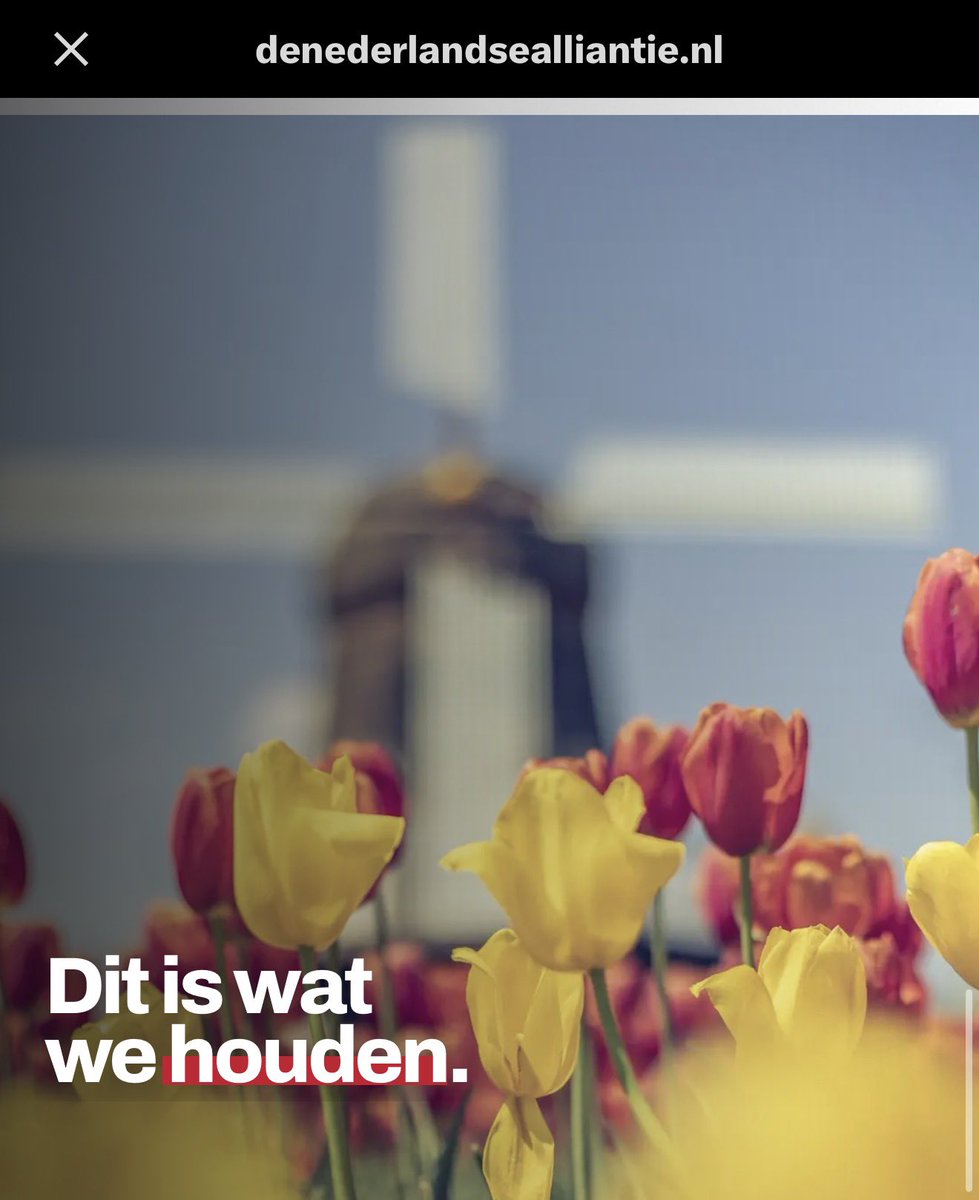 Speelman tweet media