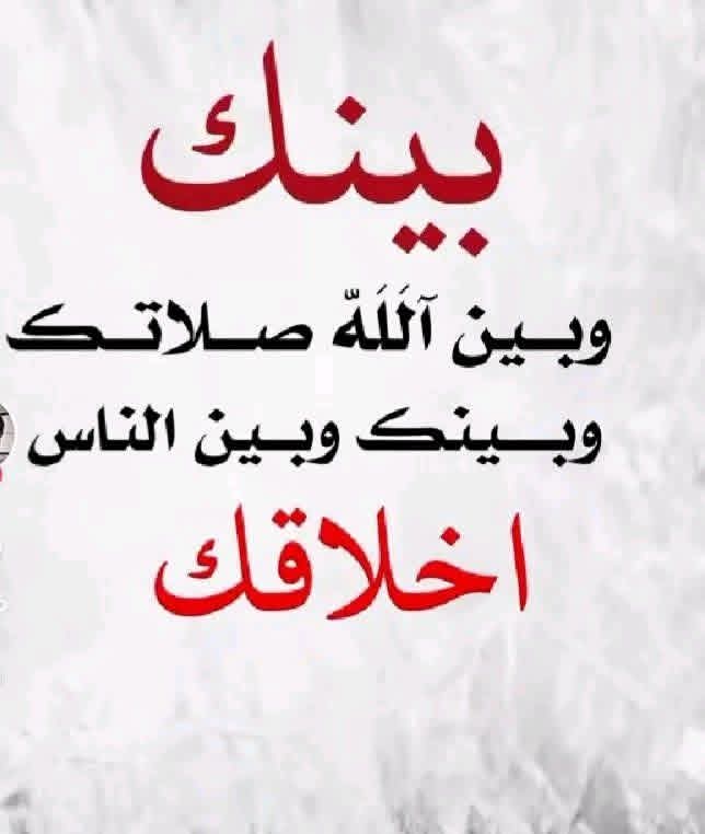 سهره الشمريه tweet media