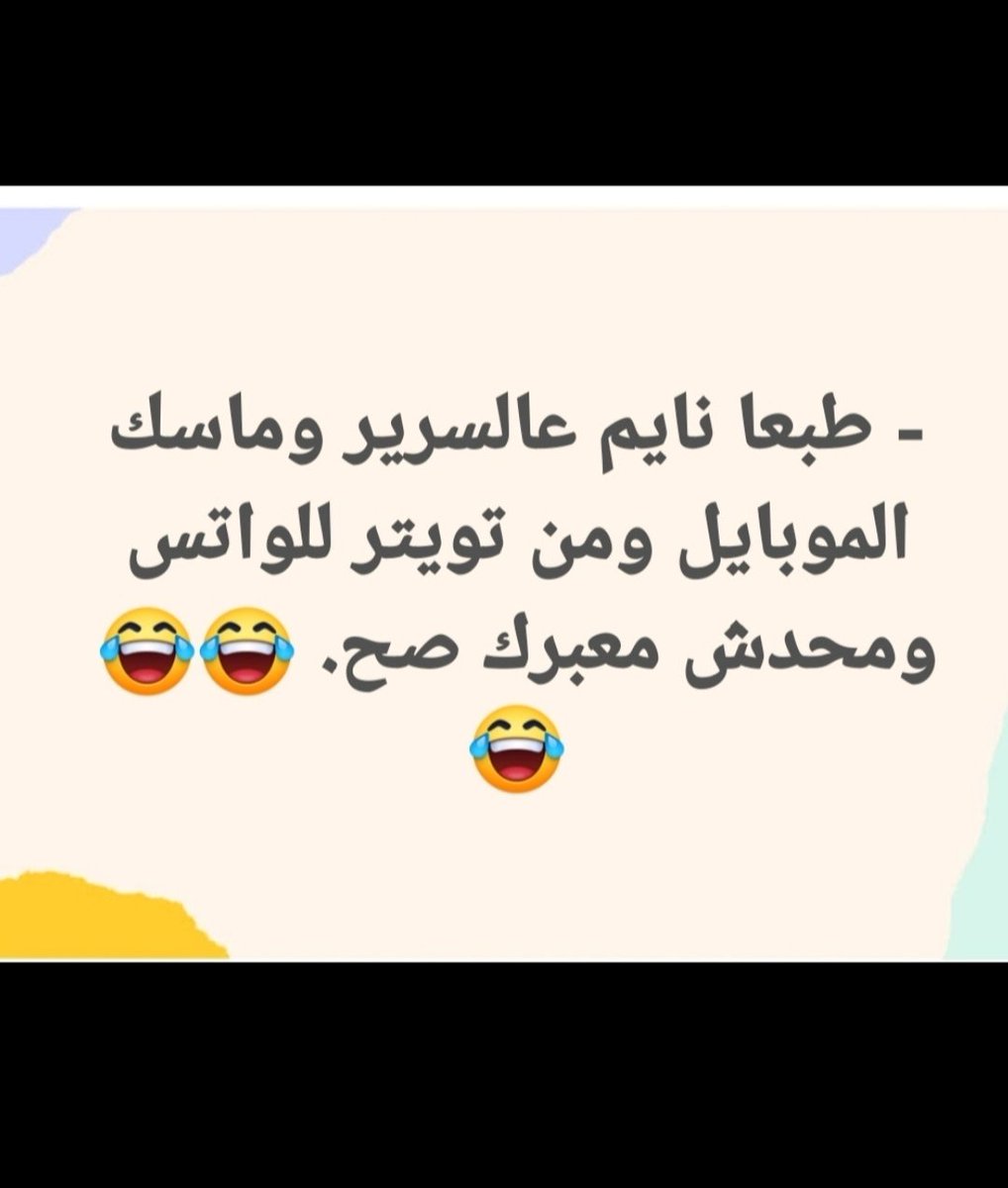 ألو أنا القطة tweet media