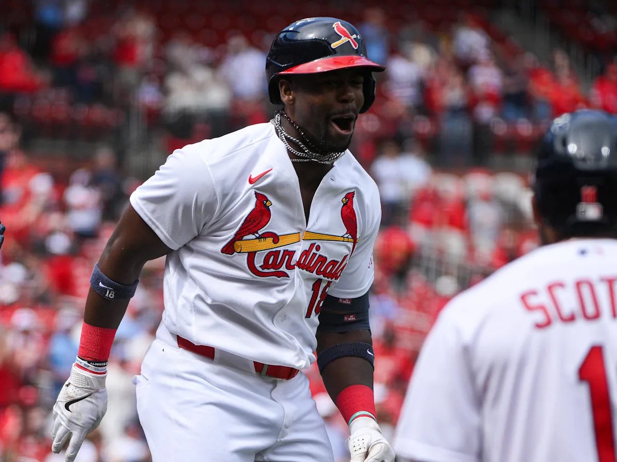 Big Gorilla Bets🦍 tweet media