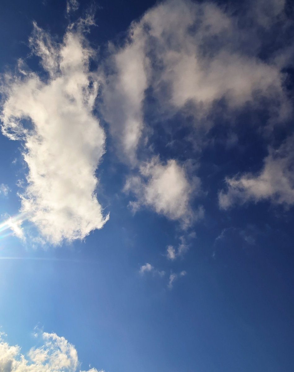 SOULAR RAY tweet media