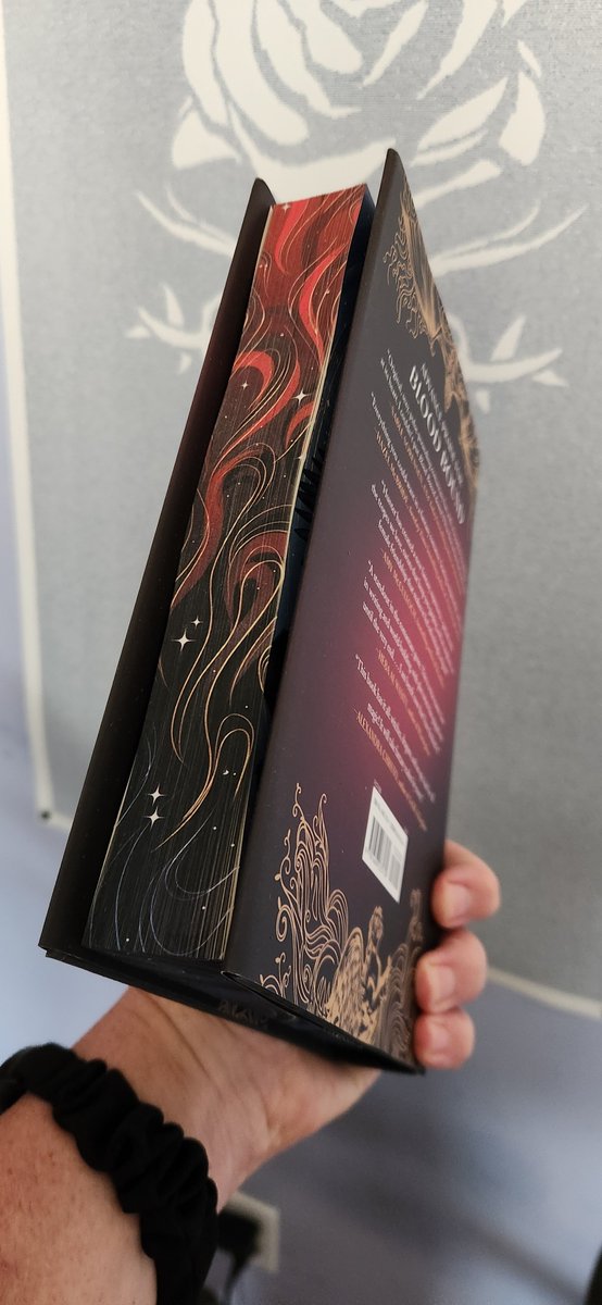bibrary's tweet photo. Look how gorgeous this book is! Sprayed edges, interior cover art, and the dustjacket is reversible! Don't get me wrong, the story sounds fantastic too, but being good looking certainly helps. ❤️📚🐉🧙‍♀️

#romantasy #bloodbound #EllisHunter https://t.co/7186WC43J5
