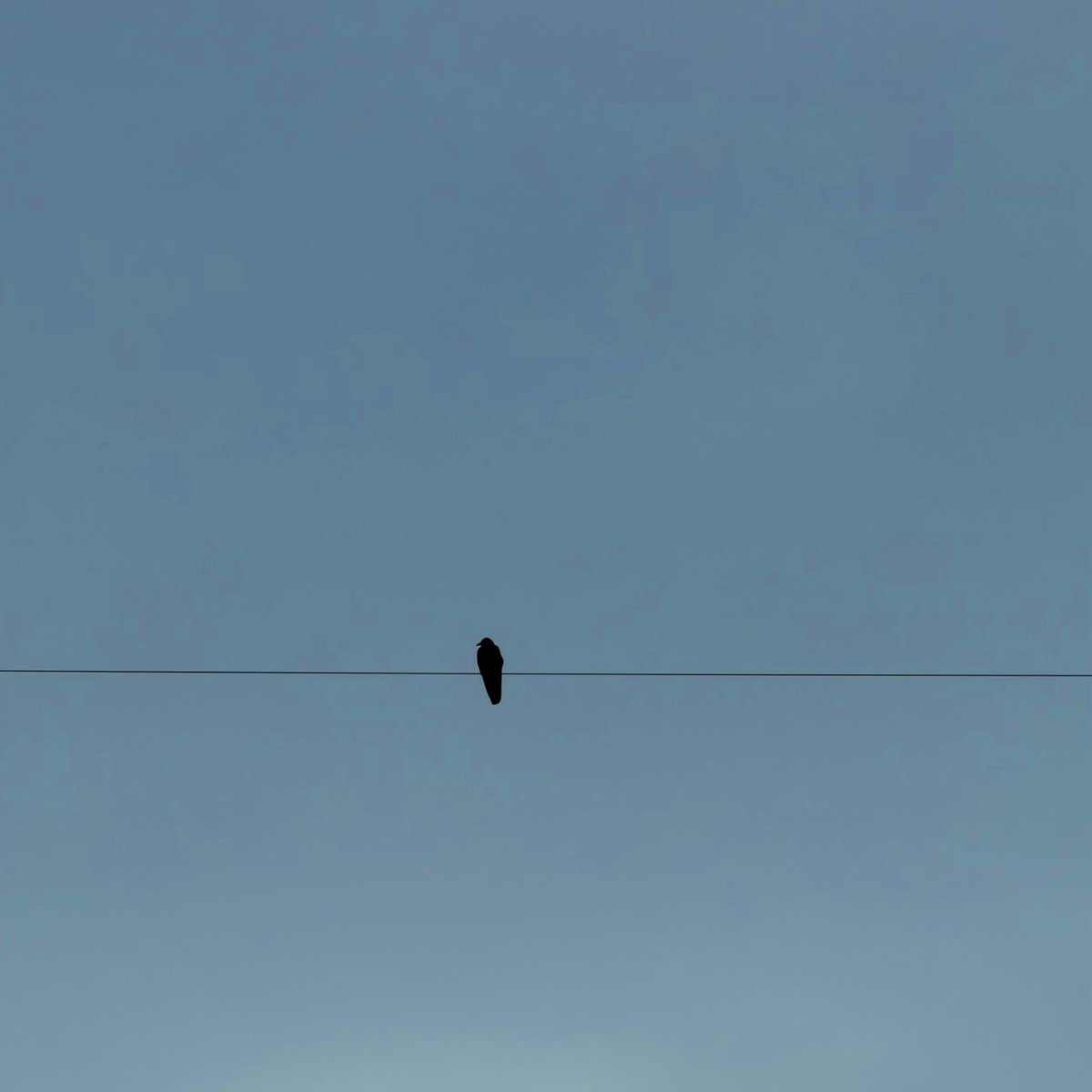 imagine works tweet media