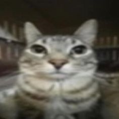 𝖆𝖌𝖓𝖊𝖘 tweet media