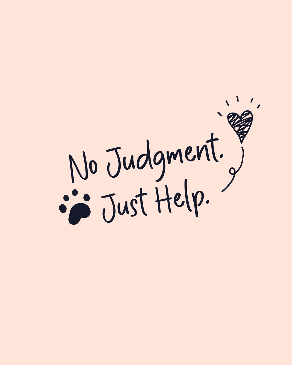 We don’t ask, “How did you end up here?”
We ask, “How can we help?”

That’s the whole thing. A stethoscope on the sidewalk. A conversation. A dog who needs care right now.

No judgment. Just help.

Let’s build a No Judgment, Just Help community. Join the NJJH movement.