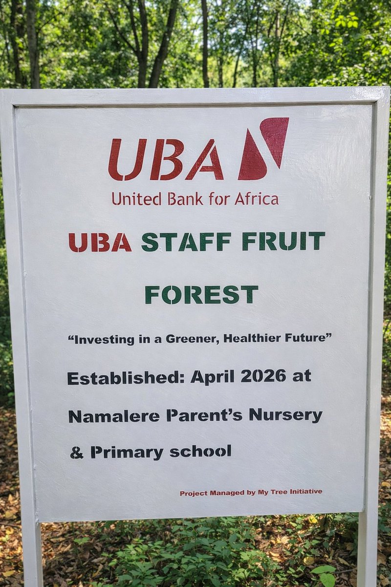 My Tree Initiative Organization tweet media