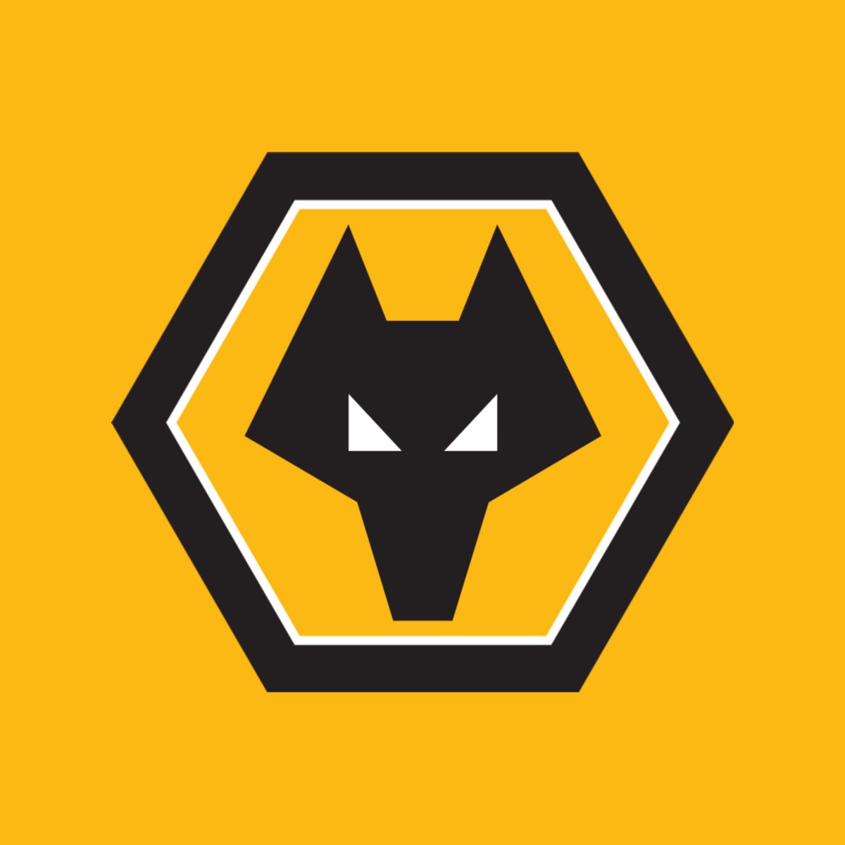 StokeyyG2's tweet image. Wolves have been RELEGATED from the Premier League.