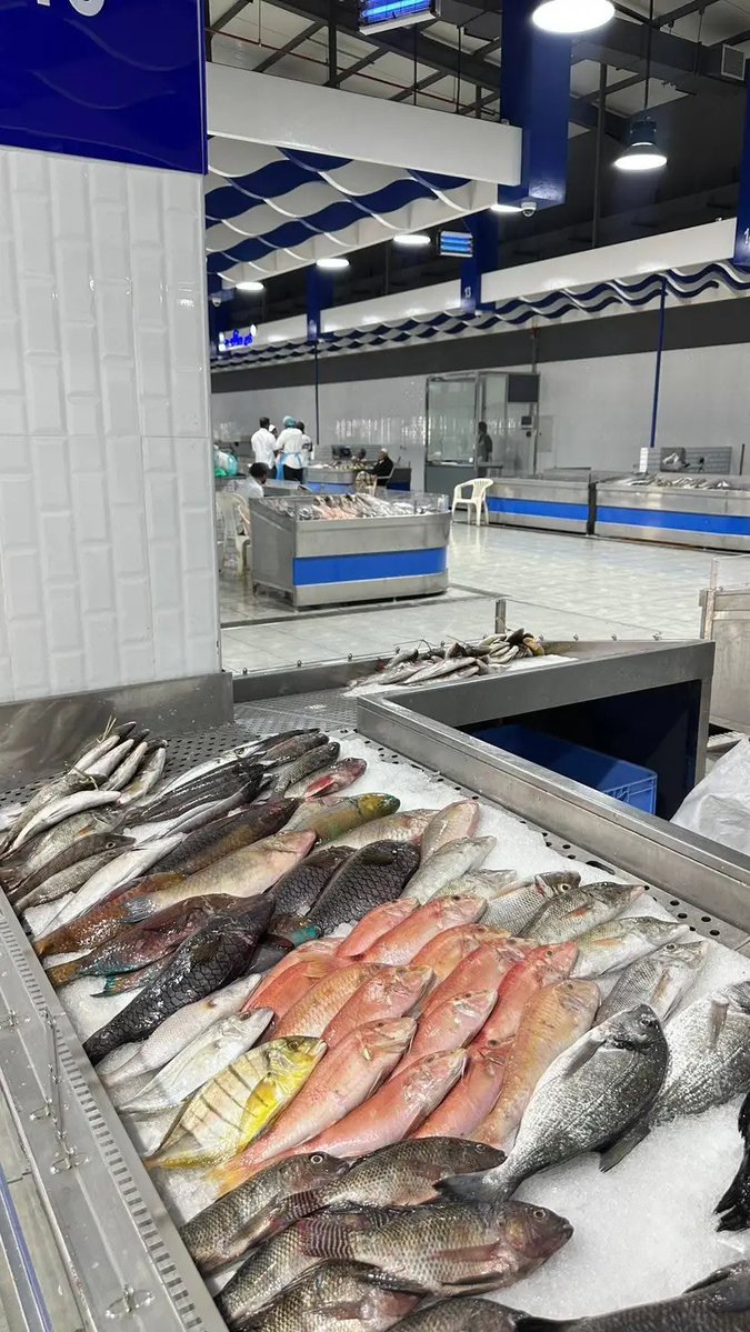 مأرب الورد tweet media