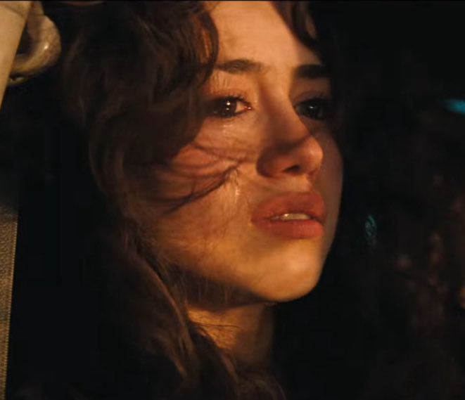 N 🇵🇸 tweet media