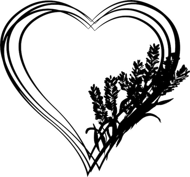 Clyde Gilson tweet media