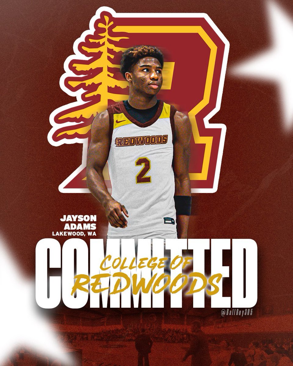 Jayson Adams tweet media
