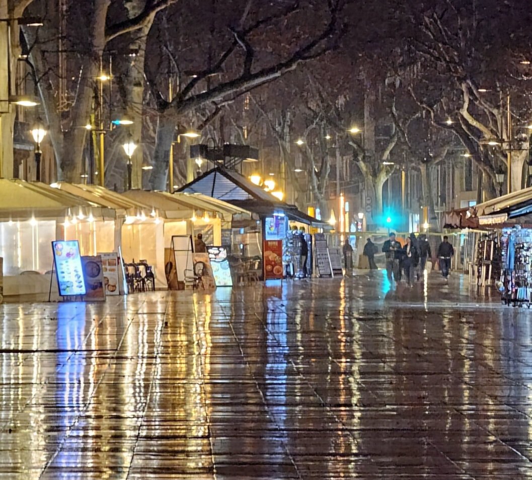 JoanBravo's tweet photo. #ramblas https://t.co/th9ddfNqXB