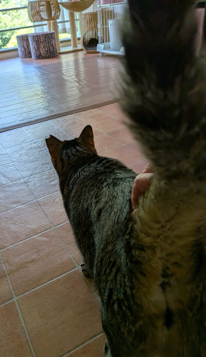 それぞれのご挨拶

今日はCatioはお休みです。