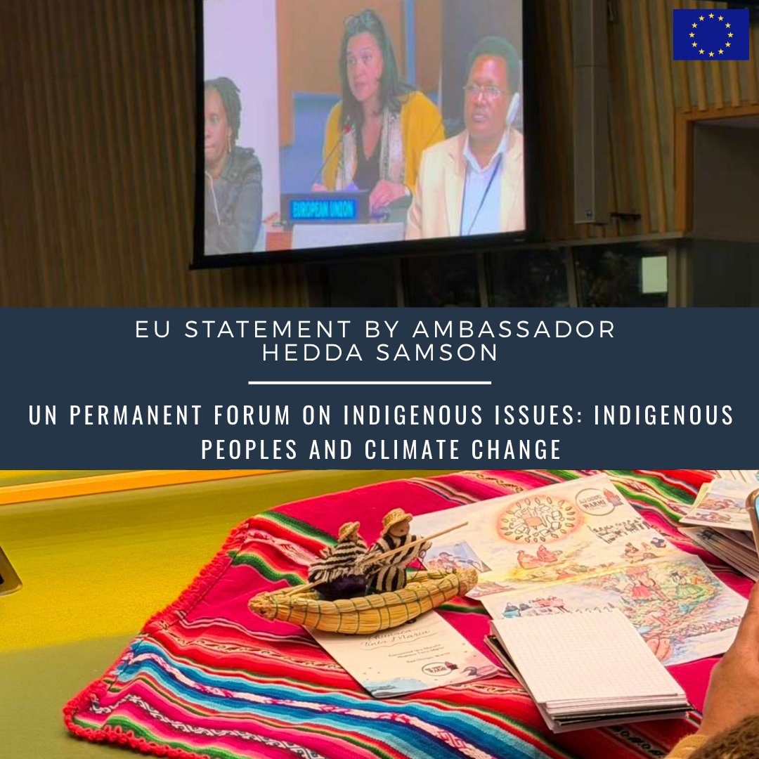 EUatUN's tweet image. We must act to address the impact of climate change &amp;amp; we are concerned that while #IndigenousPeoples contribute least to emissions, they face disproportionate, irreversible impacts on their lands, health &amp;amp; cultures.

🇪🇺Amb @HeddaSamson @UN4Indigenous 
➡️eeas.europa.eu/delegations/un…