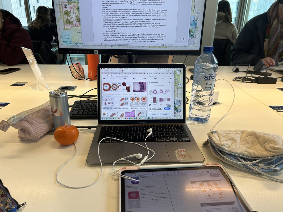 ela 🍀 tweet media