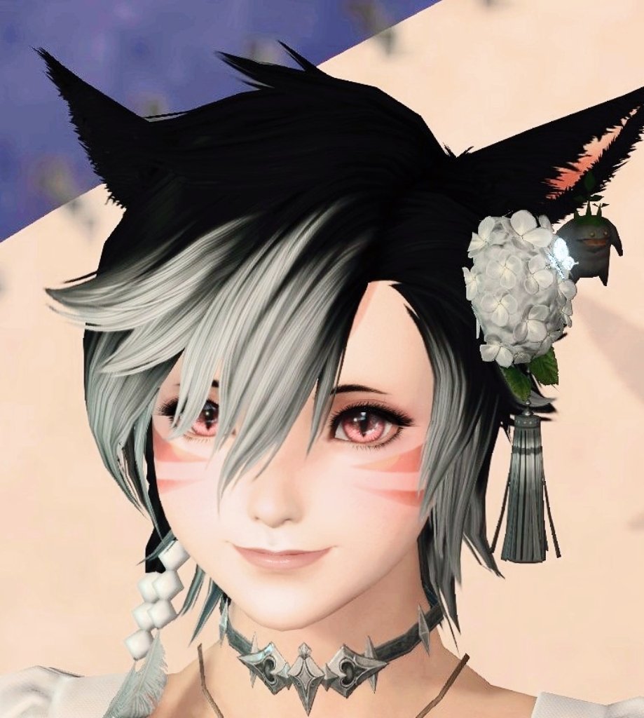 猫山田 にゃー🐱 tweet media