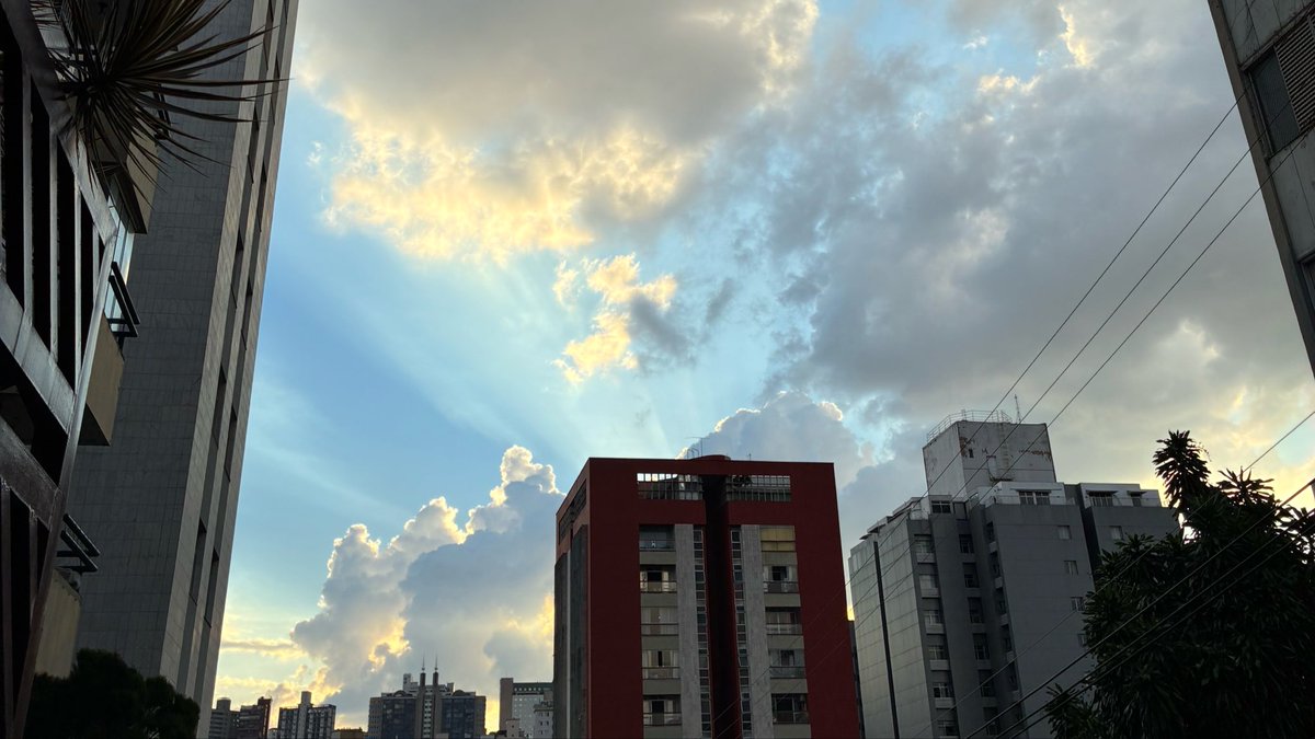 ℓαɳɳα — tweet media