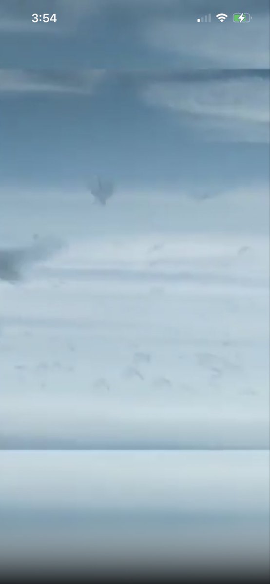 Ⓜ️agaTexan tweet media