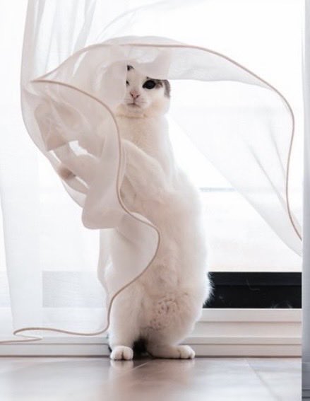 さっきー✨兼業ﾄﾚｰﾀﾞｰ tweet media