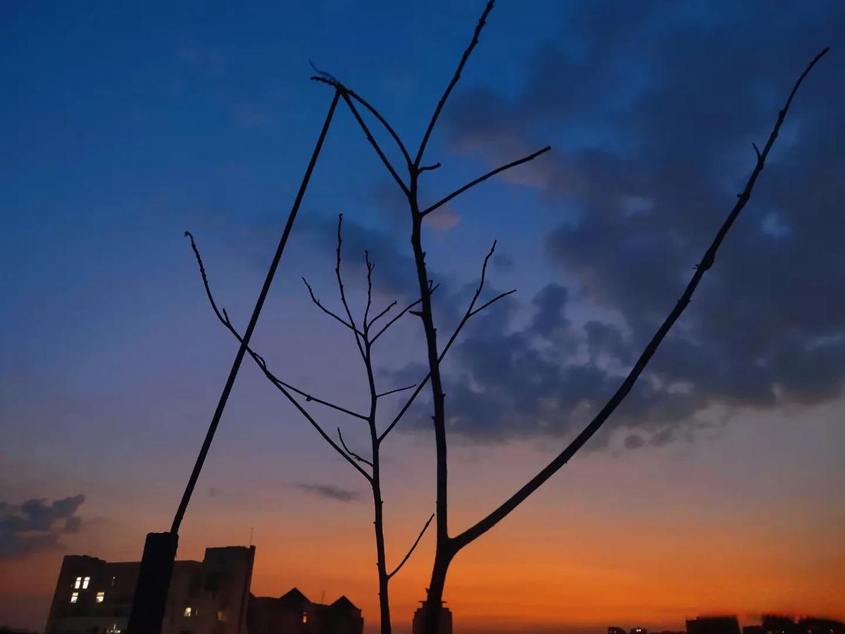 shenzojr1's tweet image. "Overtime mode activated: Laptop, coffee, and that 'one last task' that’s never actually last.  Here’s to wrapping up the day—eventually. #WorkLife #OvertimeVibes"