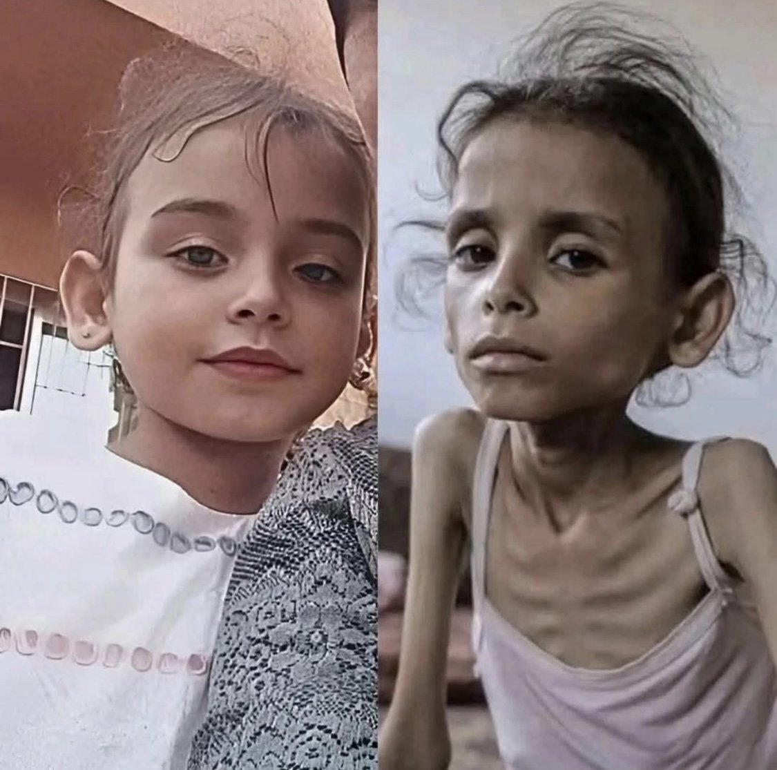 Hakan Boyav tweet media