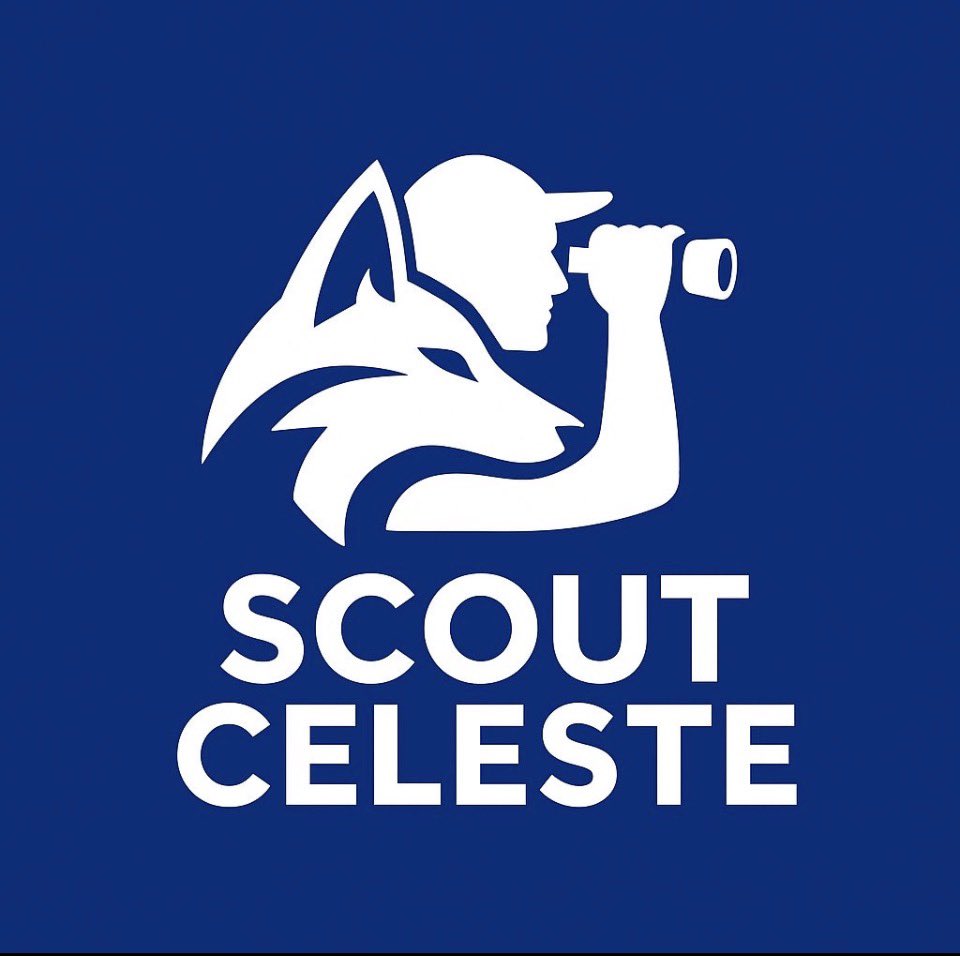 ScoutCeleste📊🔍 tweet media