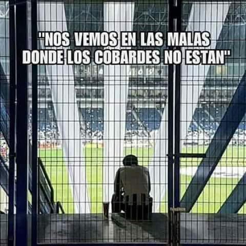 JavoRayado tweet media