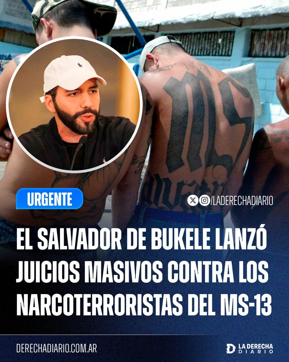 La Derecha Diario tweet media