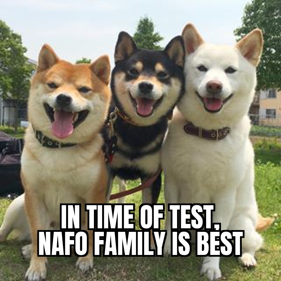 Future4UA 🇧🇪🇺🇦 🇬🇪🌻🌻 tweet media