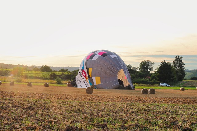 Cornelia Lee tweet media