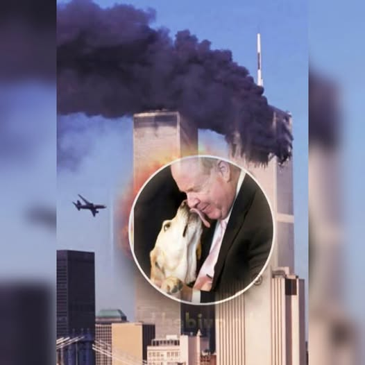 Le matin du 11 septembre 2001, Michael Hingson travaillait au 78e étage de la Tour Nord. Aveugle de naissance, il ne voyait ni les flammes ni les débris tomber, mais il sentait les tremblements dans le bâtiment et entendait le chaos qui régnait autour de lui. À ses côtés, sa