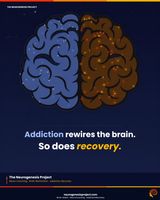 Through targeted therapies and neuroplasticity-based rehabilitation, we help the brain rebuild the circuits that addiction has damaged. Better emotional regulation. Stronger decision-making. It is about becoming someone whose brain no longer needs to escape.