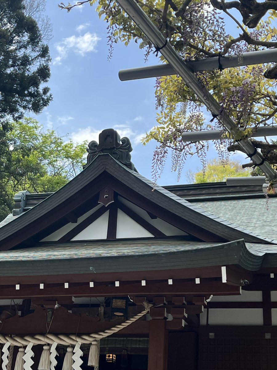 安藤貴世/産業ケアマネ tweet media