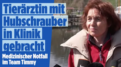 Wie Timmy sie am Ende alle überlebt