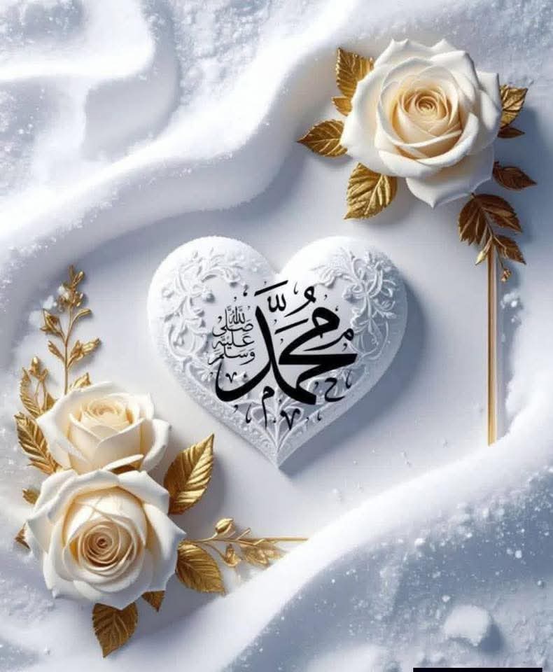 ( حنان قنديل) tweet media