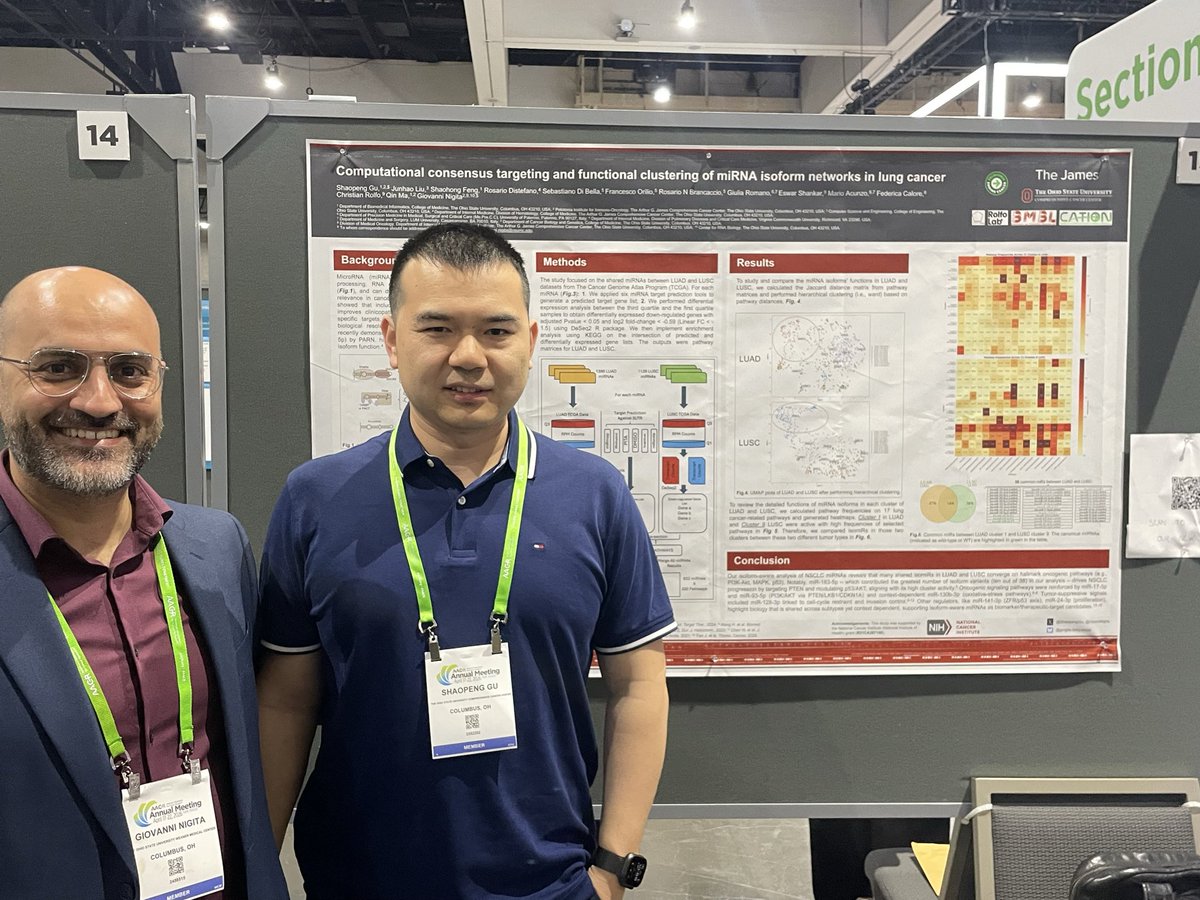 RobertoBoreaMD's tweet photo. @GianniNigita and @ShaopengGu  teaching us that i’s not just which miRNA, it’s which version of it. 🧬
This #AACR26 poster shows isomiRs reveal entirely new cancer-driving networks in #NSCLC! 

Super interesting! 👏🏼

@ChristianRolfo @rolfolab @OSUCCC_James https://t.co/blZ5Vo4Iaz