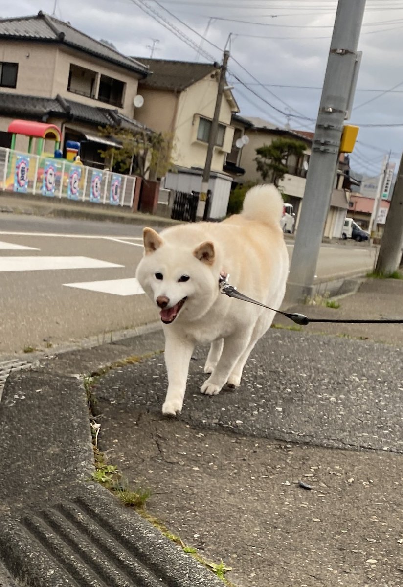 釜石製綿 tweet media