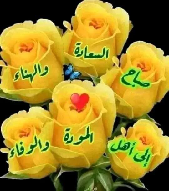 ساره الدوسري🇸🇦 tweet media