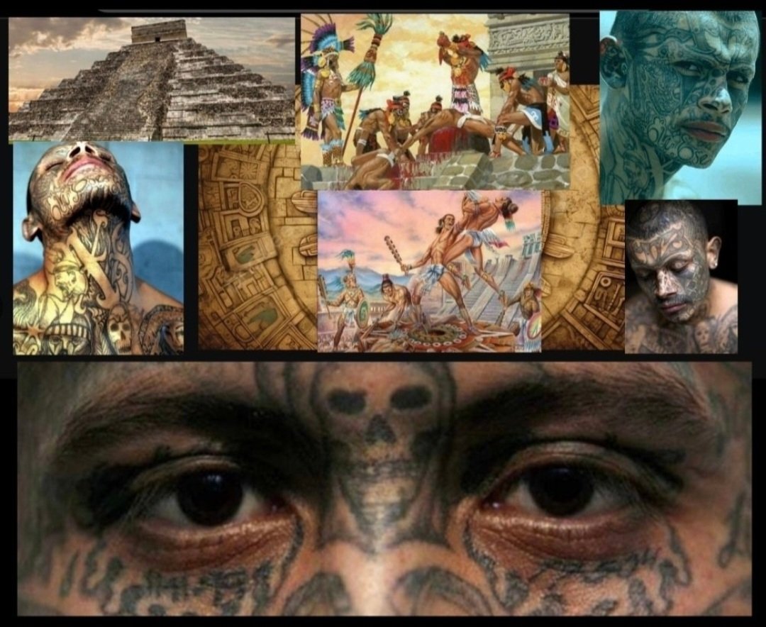 warcrimes ✝️🏰🏛 📖 tweet media