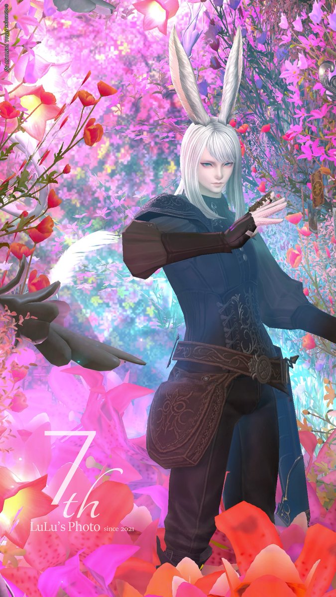 Lulu＊🐰 tweet media