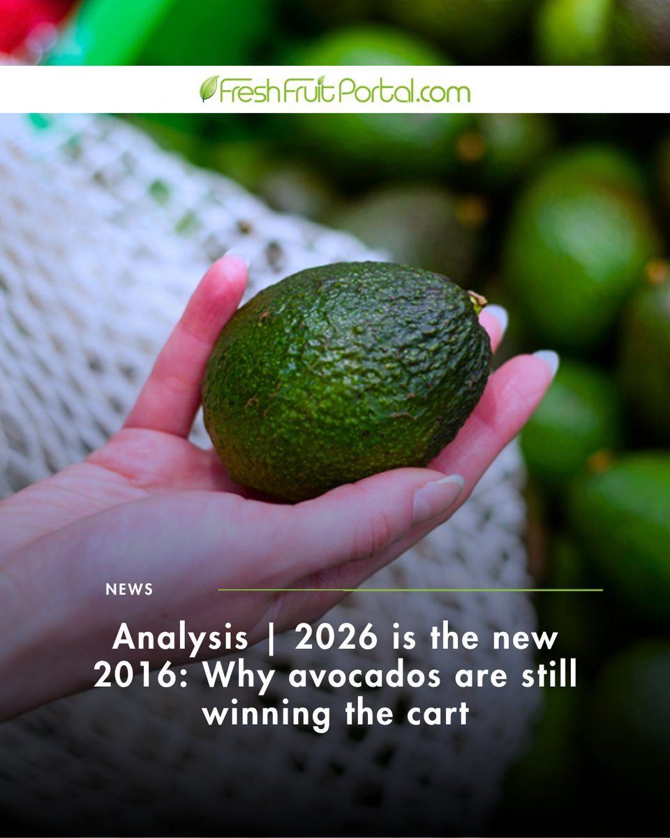 FruitPortal's tweet image. Avocados: from trend to staple 🥑

What started as a “sometimes” indulgence is now a weekly essential, driven by health trends and omnichannel shopping.

Read more in the link: f.mtr.cool/xtzfcpccxv

#Avocado #Trends #HealthyEating #Retail
