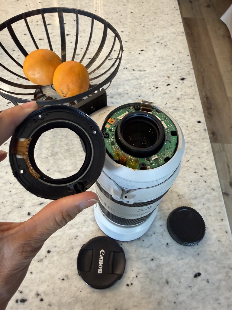 Tina Quillen Photography tweet media