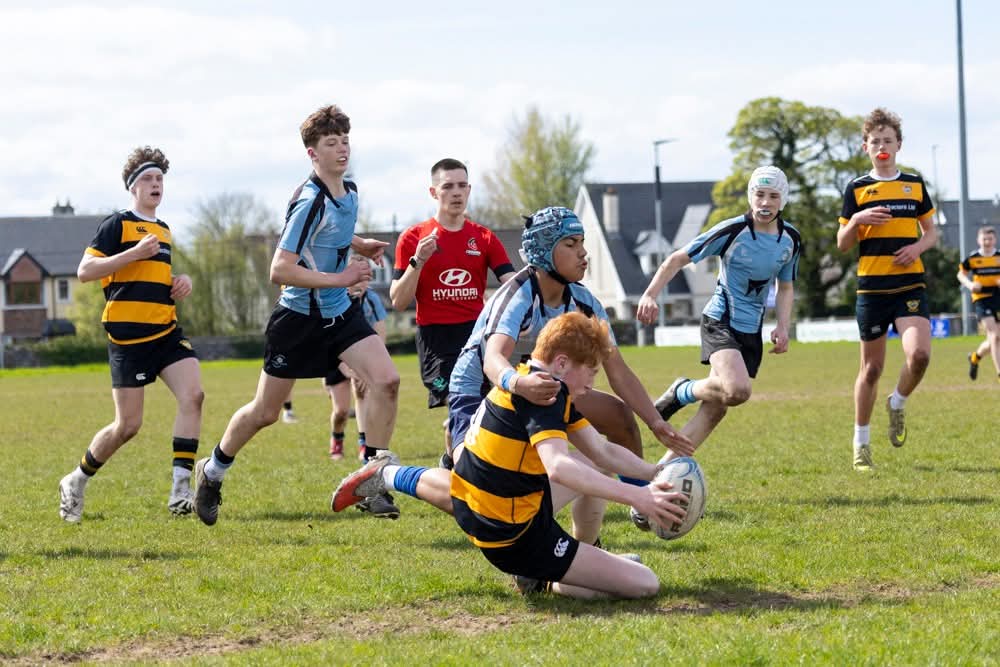 CarrickonShannon RFC 🖤💛🏉 tweet media