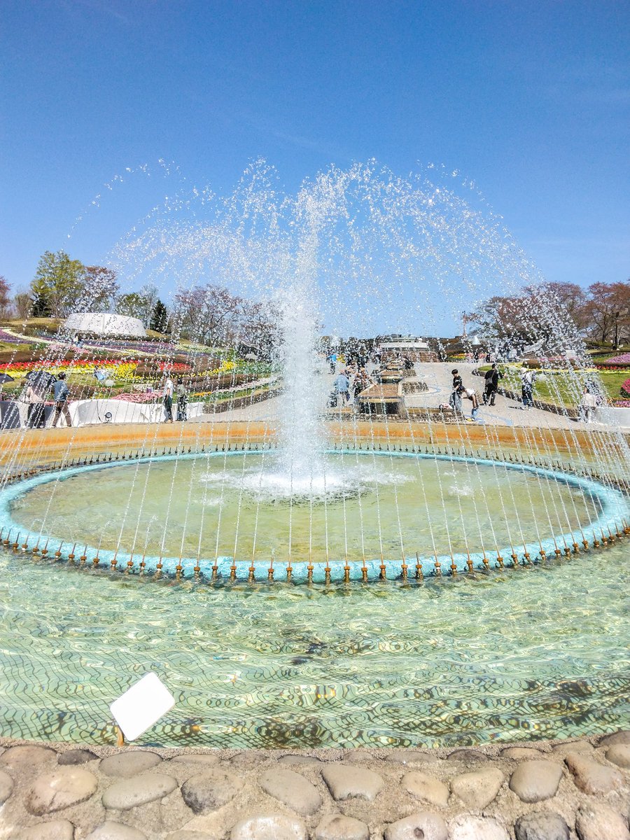 こだるまちゃん＠元同居嫁 tweet media