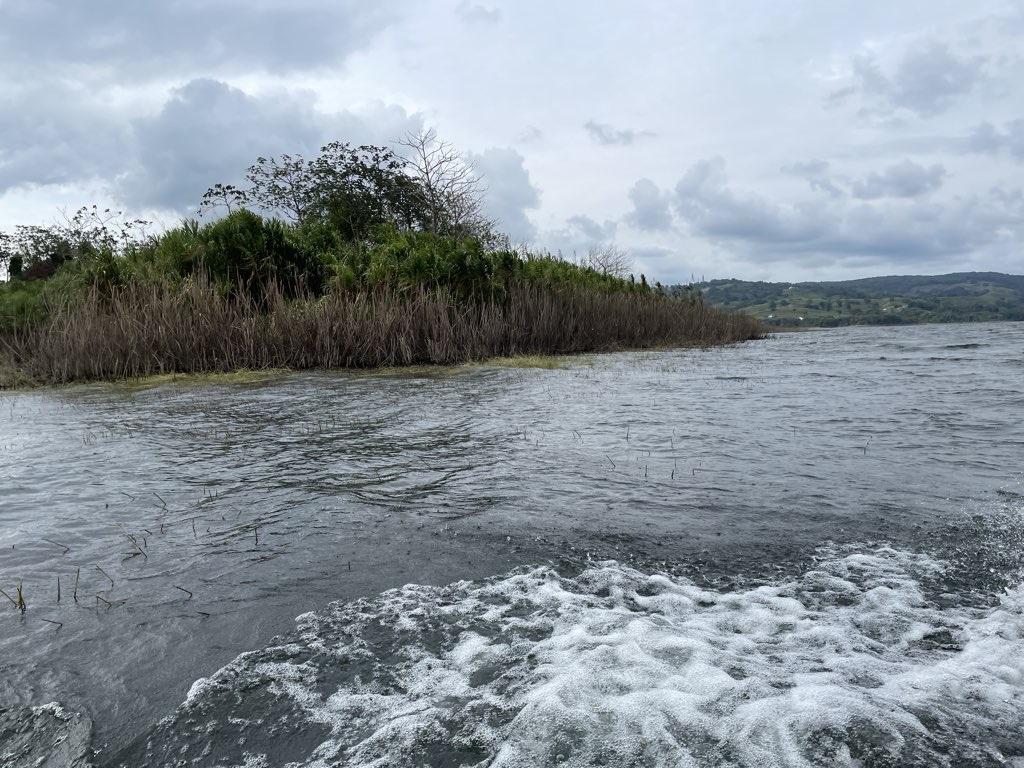 ThePeopleCourt's tweet image. #Tour of the Week!  It's a Cruise near #Tilaran, Guanacaste, Costa Rica! View here: MyGuidedTours.com/tours/costa-ri… #TourGuide